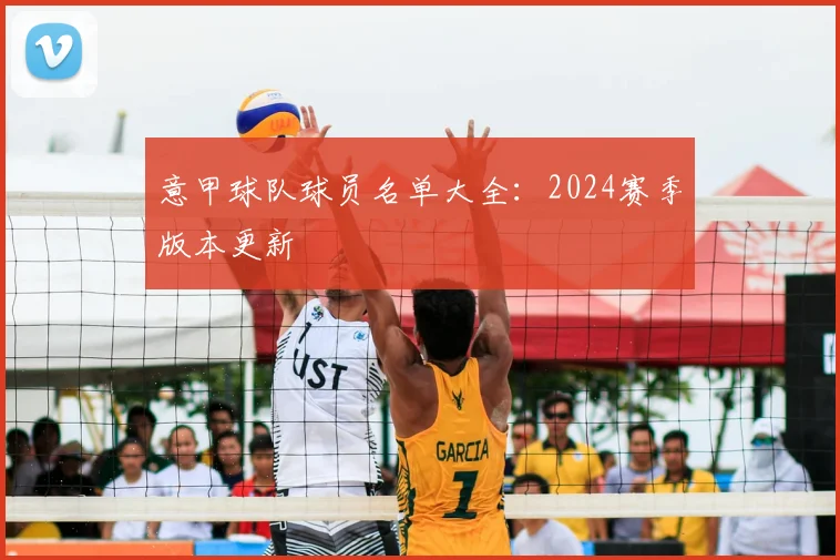 意甲球队球员名单大全：2024赛季版本更新