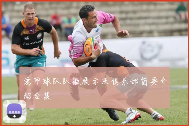 意甲球队队徽展示及俱乐部简要介绍合集