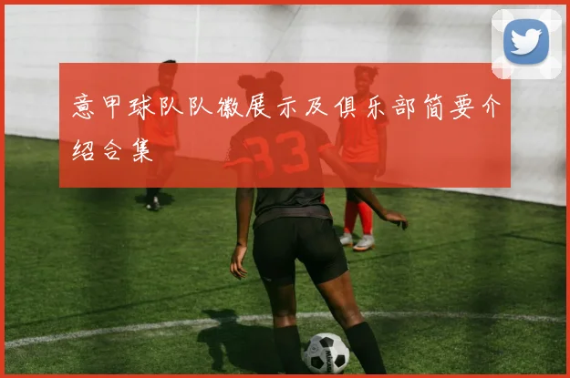 意甲球队队徽展示及俱乐部简要介绍合集